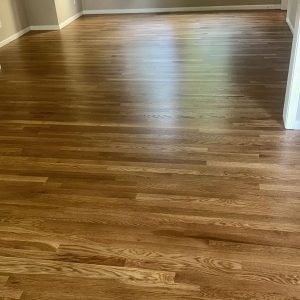 WhatsApp Image 2025-08-21 at 10.26.00_ef02b271