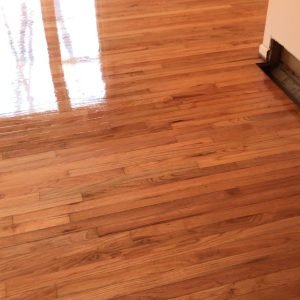 WhatsApp Image 2025-08-21 at 10.41.21_b81ee850