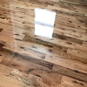 WhatsApp Image 2025-08-21 at 10.41.24_7e20c6f5