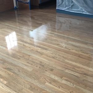 WhatsApp Image 2025-08-21 at 10.41.24_d1c59358